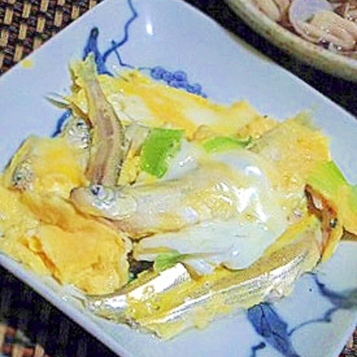 春のおもてなしにも、白魚の卵とじ